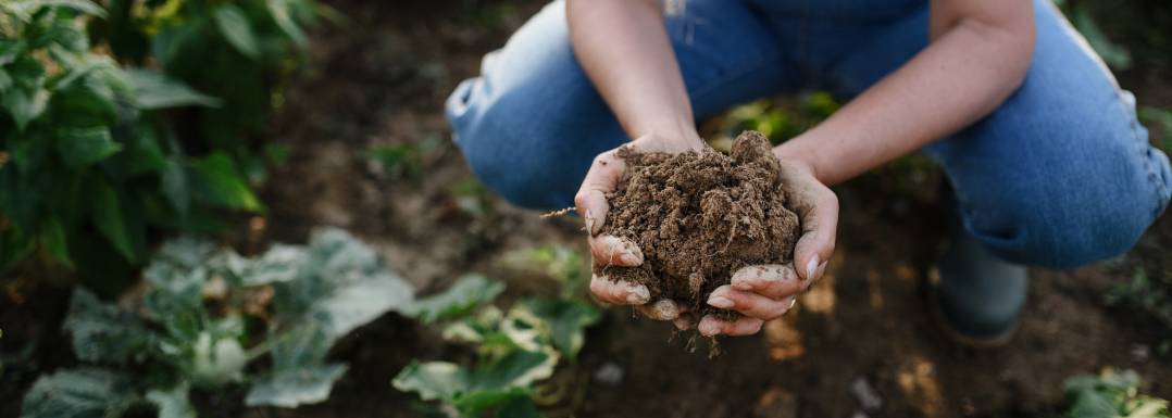 Regenerative-agriculture-initiatives-for-sustainable-farming.jpg