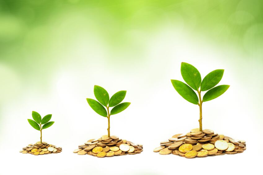 Sustainability_green_money_business.jpg