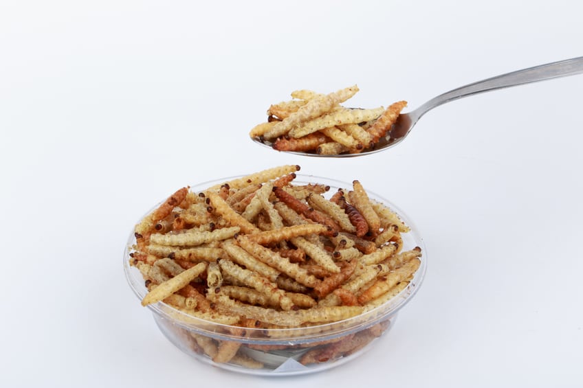 Insect brands look to Gen Z to drive demand