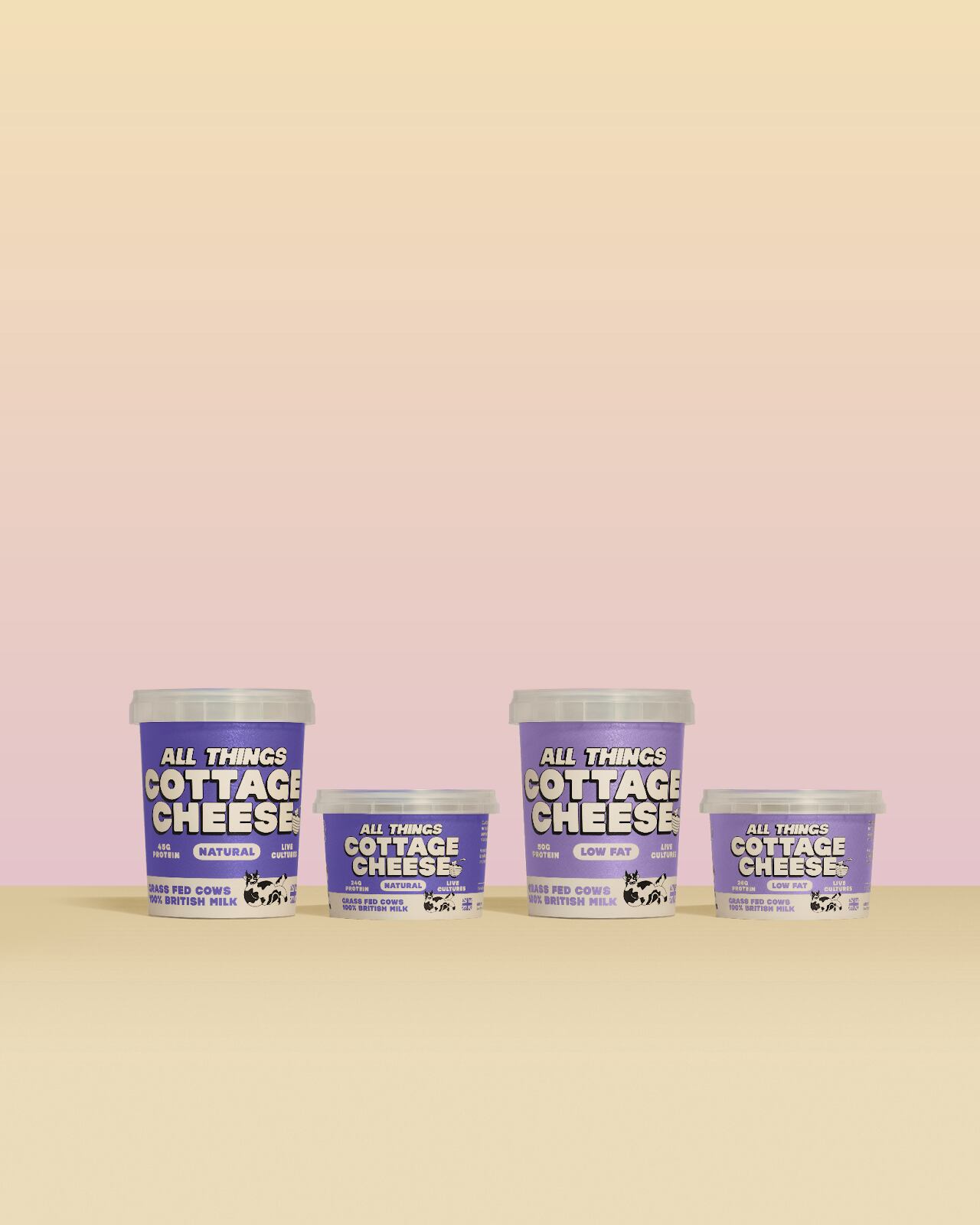 ALL THINGS low fat cottage cheese packaging in the chilled dairy aisle