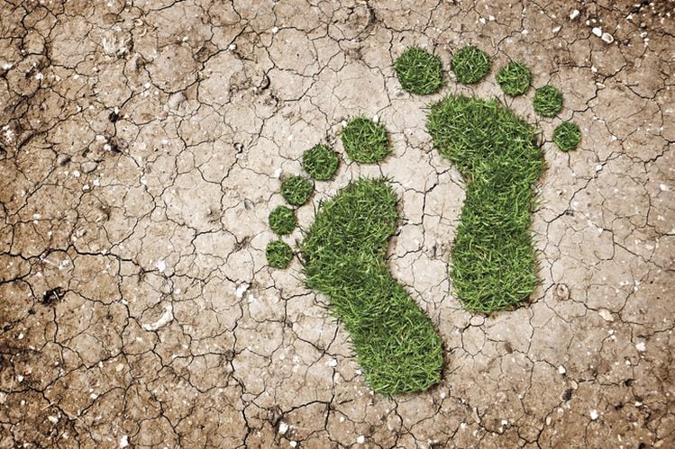 HowGood-We-ve-created-the-world-s-largest-food-sustainability-database.jpg