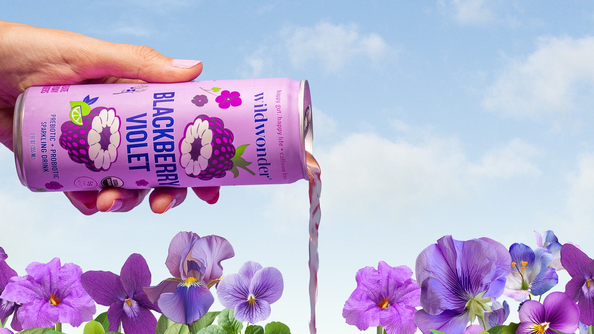Wildwonder functional sparkling beverage range focusing on botanicals and probiotics.