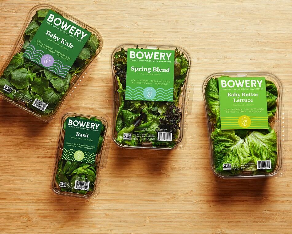 Bowery-Farming-raises-300m-plans-to-introduce-tomatoes-root-vegetables-and-strawberries-to-market.jpg