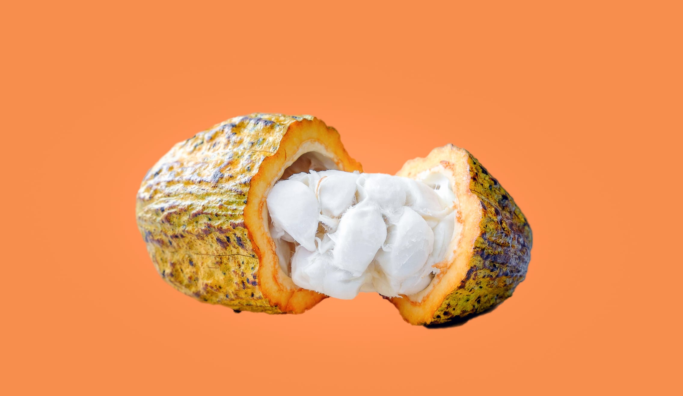 Nestlé invents novel cocoa technique amid chocolate crisis thumbnail