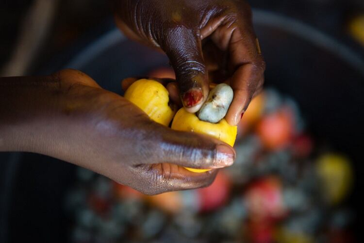 GettyImages-African-with-cashew-nuts-Virginia-Yunes.jpg