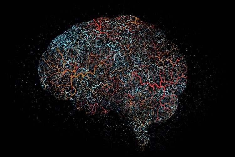 Brain-GettyImages-Jacob-Wackerhausen.jpg