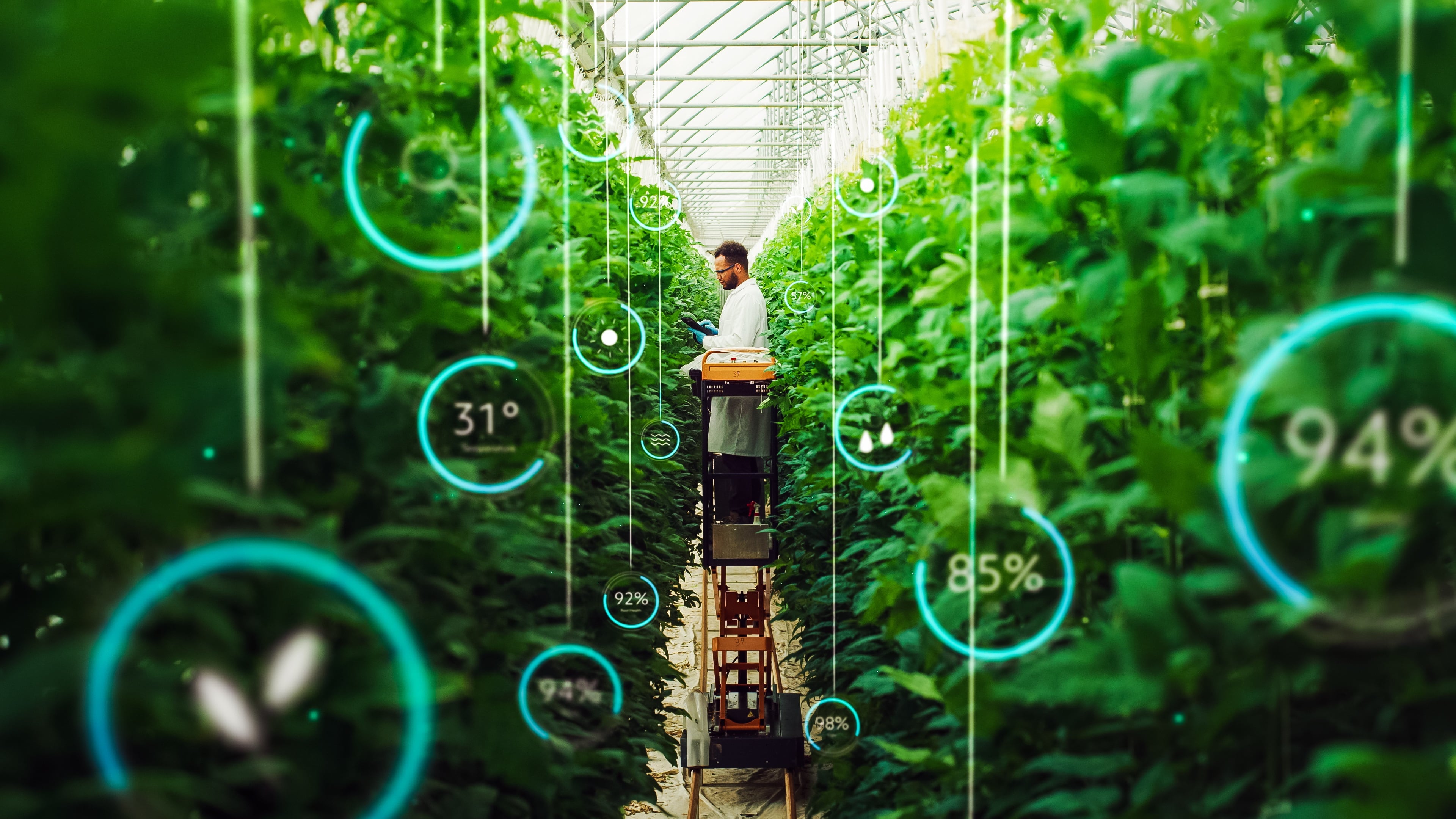 Vertical farming having a growth spurt