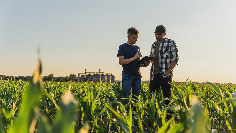 ADM fast-tracks regenerative ag with farmer-first, manufacturer-backed strategies