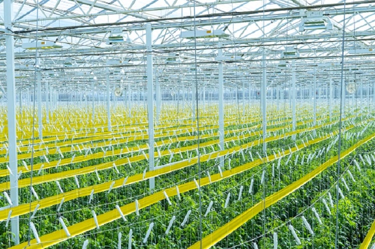 AppHarvestfacility.jpg