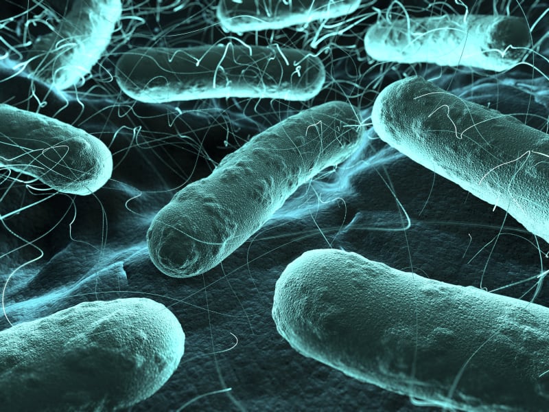 ‘We can effectively eliminate recalls’: Clear Labs eyes $100bn food safety opportunity