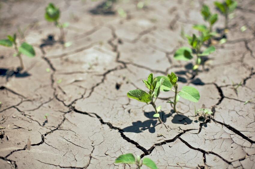 drought-water-shortage.jpg