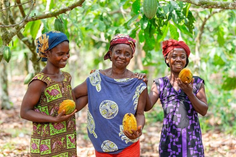 Koa-cocoa-farmers-Kwati-Faustina-Akua-Pic-Koa-750.jpg