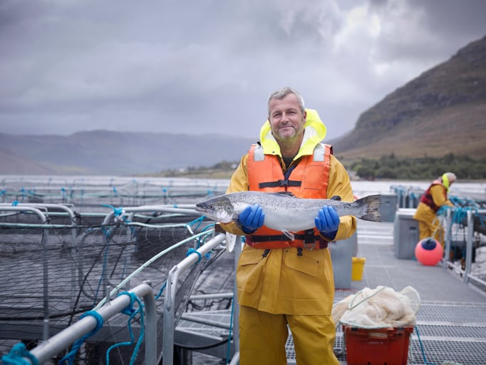 COP26’s ‘local and sustainable’ menu sparks farmed salmon debate