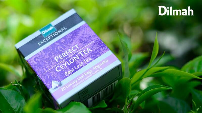 ‘Paradigm shift’: How Sri Lanka’s Dilmah Tea’s  premium positioning created a  global success story – CEO exclusive