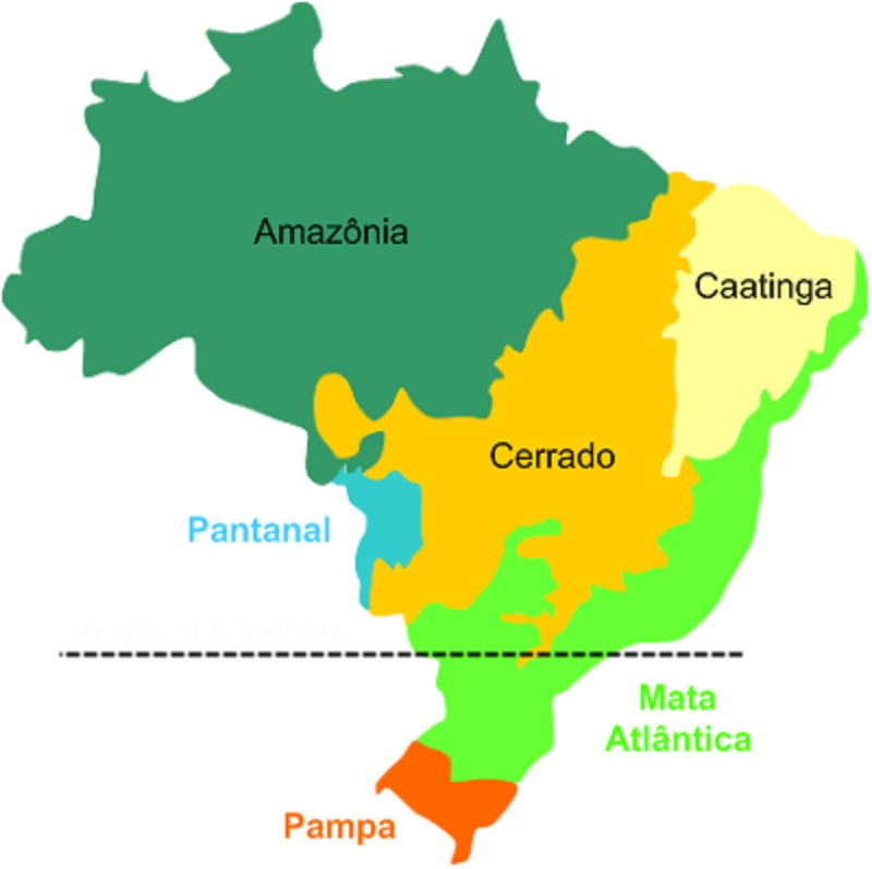 Biomes_of_Brazil.png