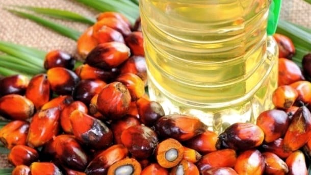 RSPO.jpg