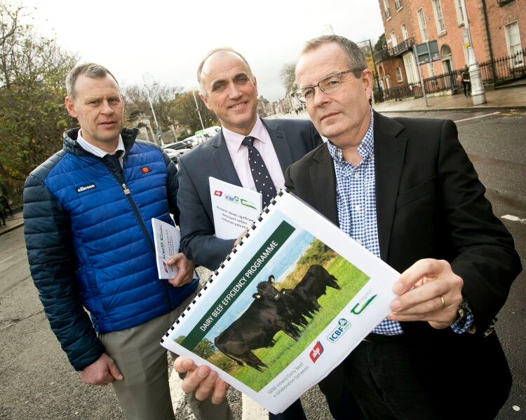ABP investigates carbon reduction ideas