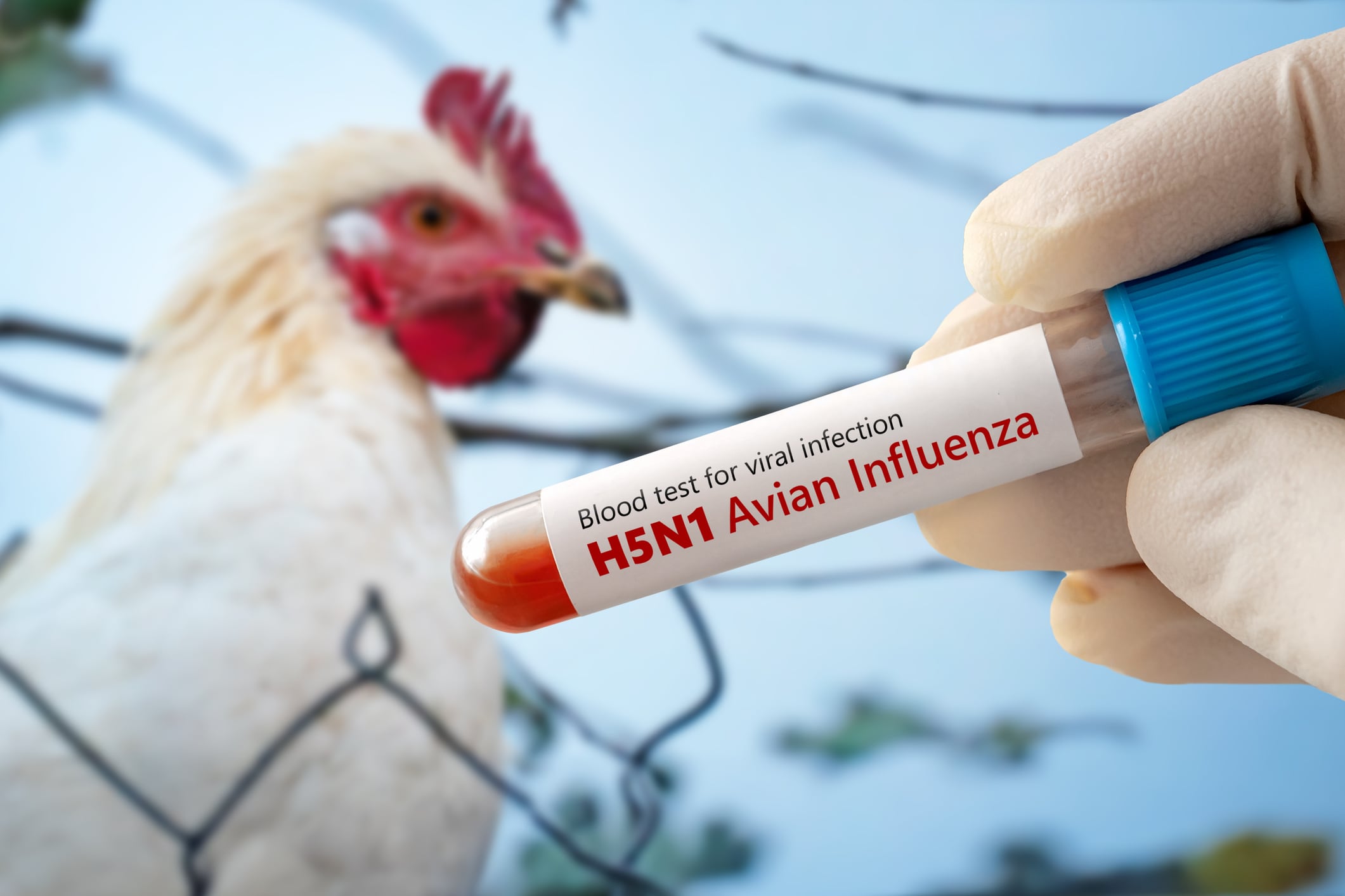 Bird flu: caution urged as protective measures stepped up