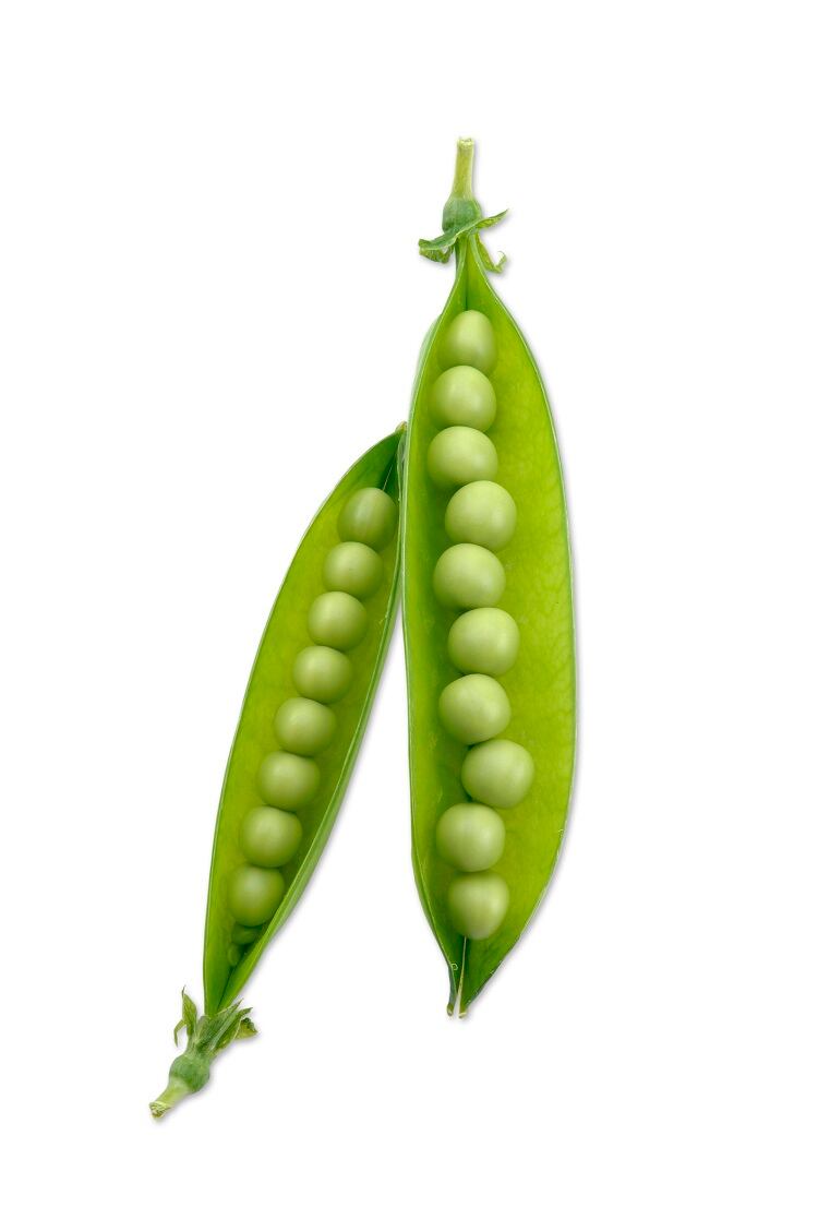 green-pea-pixhook.jpg