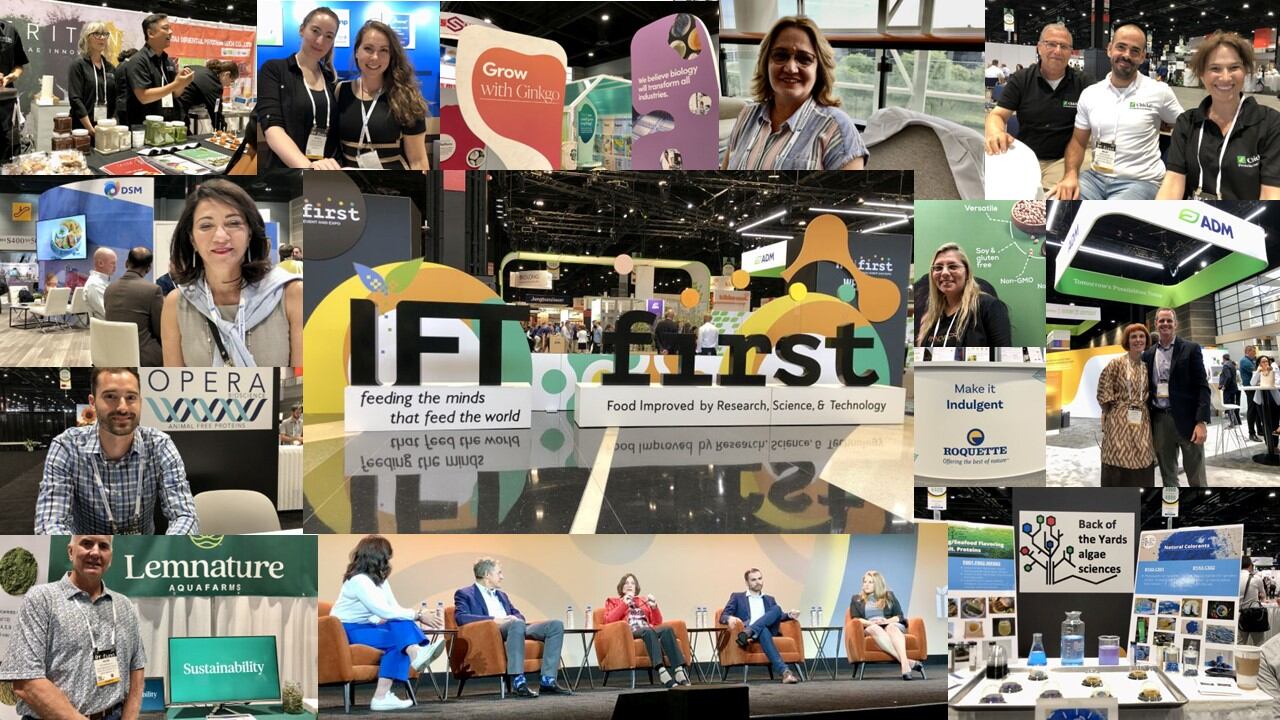 Trendspotting at IFT First 2022: Alt proteins… is it time to under promise and over-deliver?