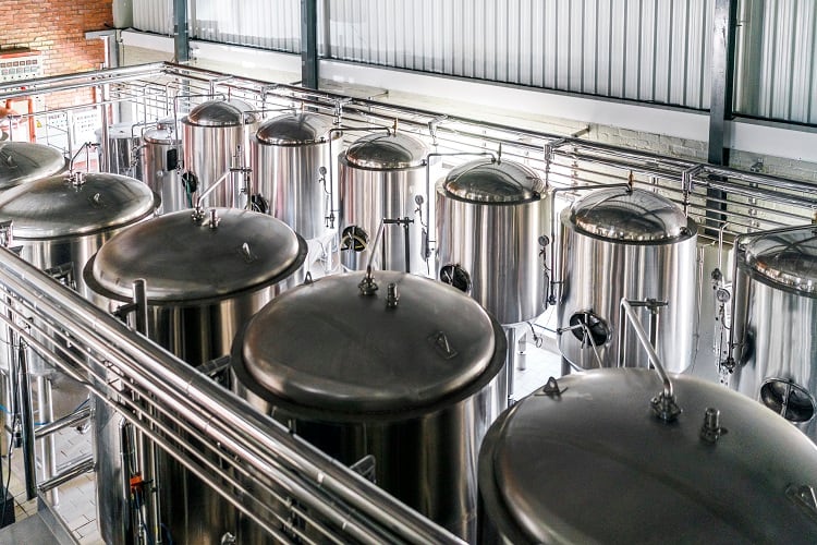 ‘I do see an investor appetite to improve’: World Fund's principal on what investors are looking for in fermentation