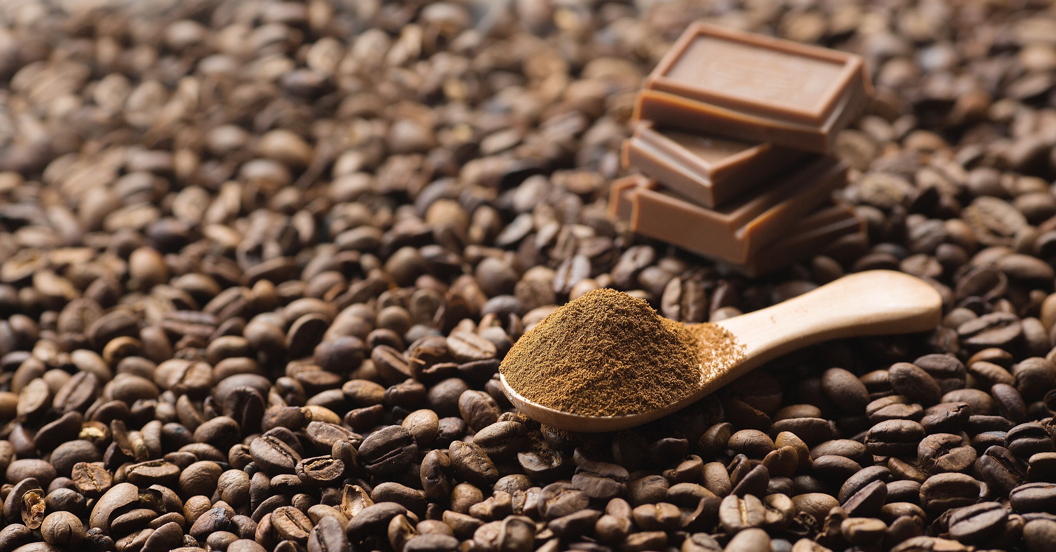 A spoonful of coffee grounds next to a few pieces of chocolate on top of a bed of coffee beans.