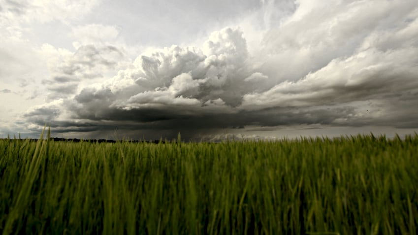 Monsoon.jpg