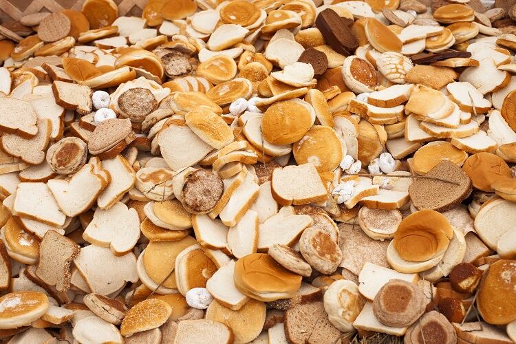 Waste-bread-used-to-feed-microbes-for-fermented-foods-The-technology-is-extremely-simple.jpg