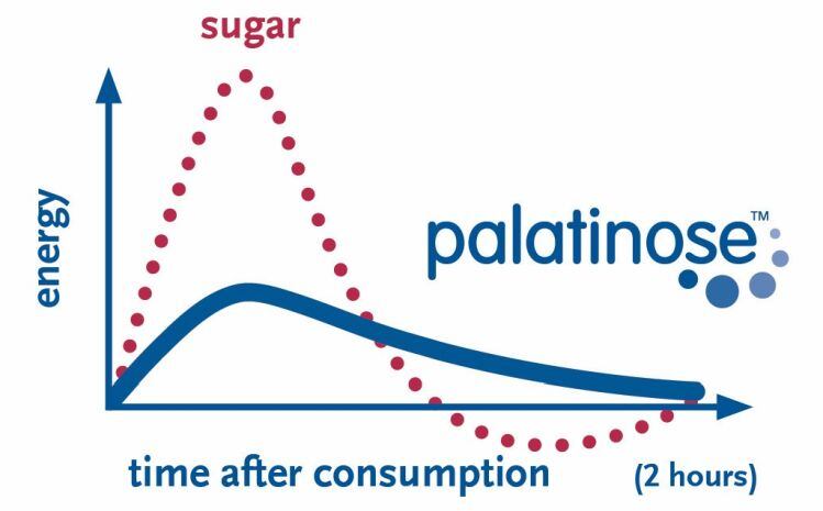 PALATINOSE-energy.jpg