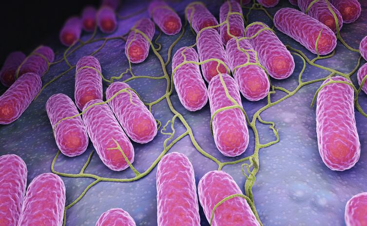 Clear Labs taps Oxford Nanopore tech for ‘new level of speed and accuracy’ in pathogen testing
