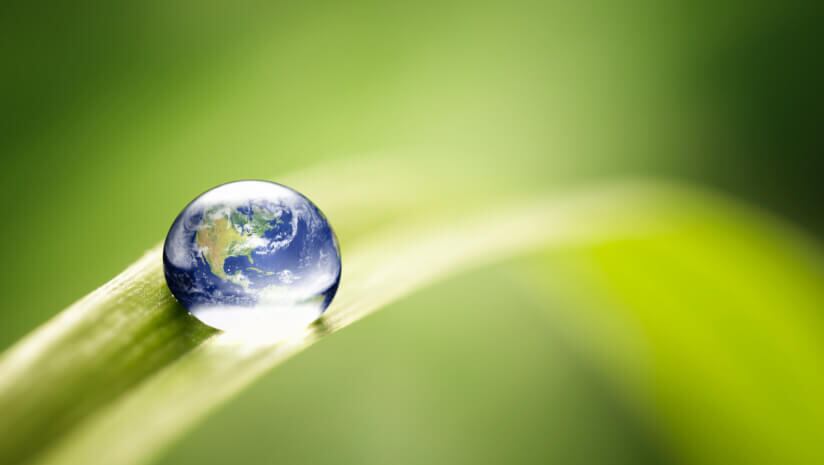 Sustainable Foods Summit Asia 2025: Dole, Meatiply, Google to highlight critical aspects of sustainable food systems