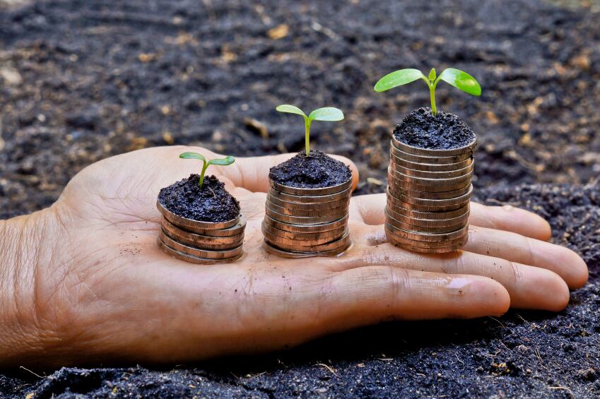 corporate-responsibility-sustainability.jpg
