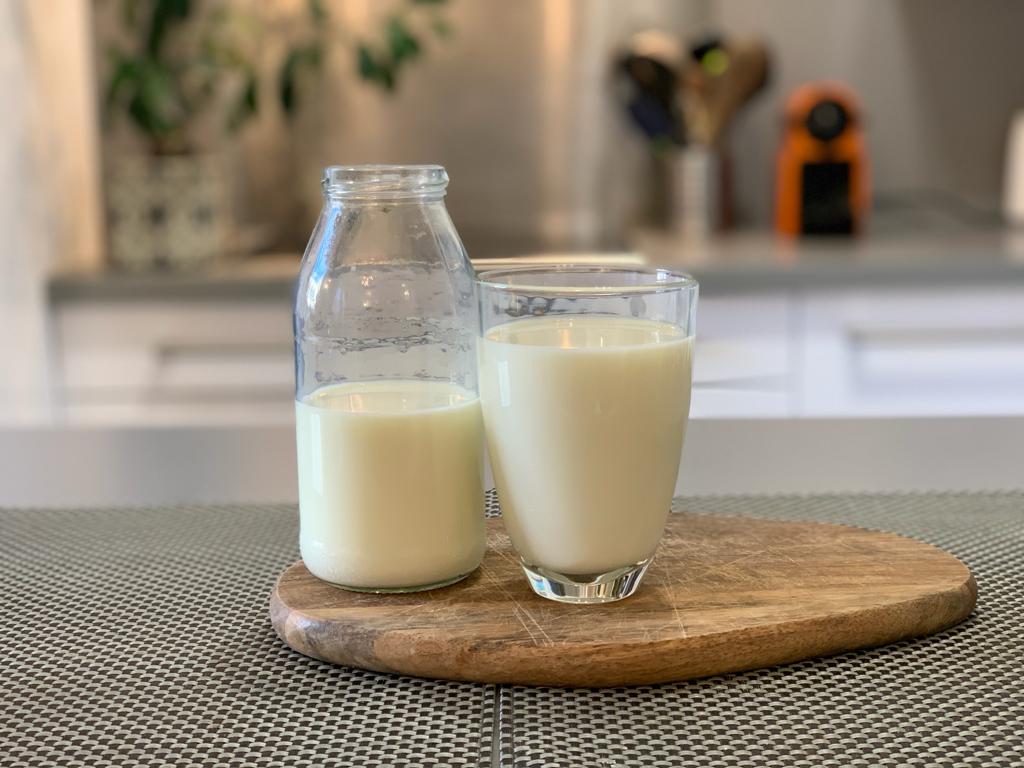 ‘Milk without the bad’: Start-up taps faba protein and algae to ‘ease next-gen switch’ to dairy alternatives
