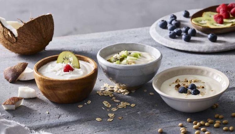 Chr.-Hansen-s-LGG-probiotic-now-available-for-fermented-plant-based-yogurts-and-other-products.jpg