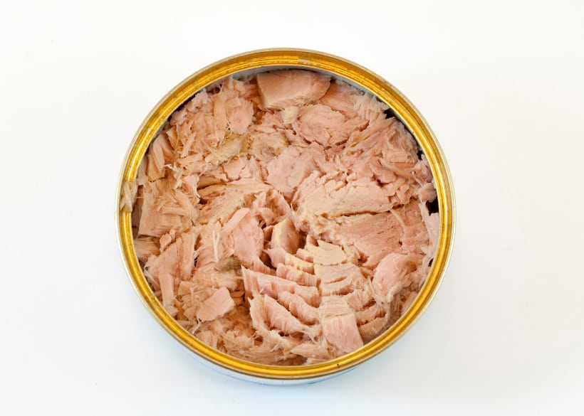 tuna-fish-2.jpg