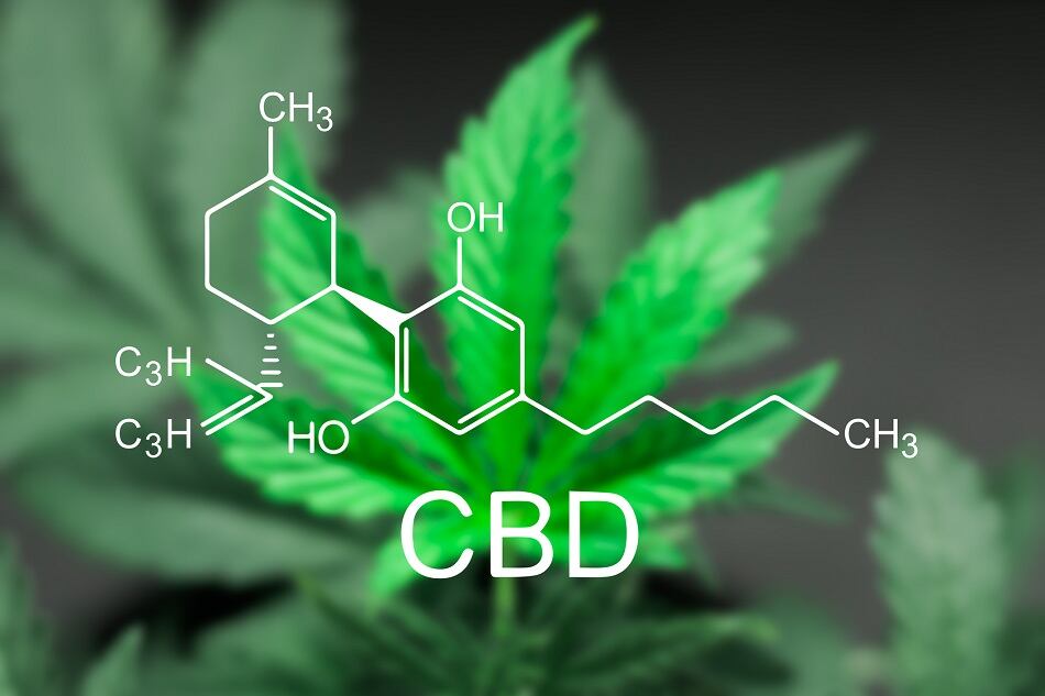 New incubator and accelerator program launches to fast-track CBD and THC brands in food and beverage