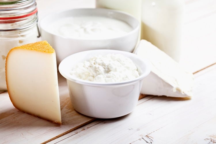 dairy-SilviaJansen.jpg