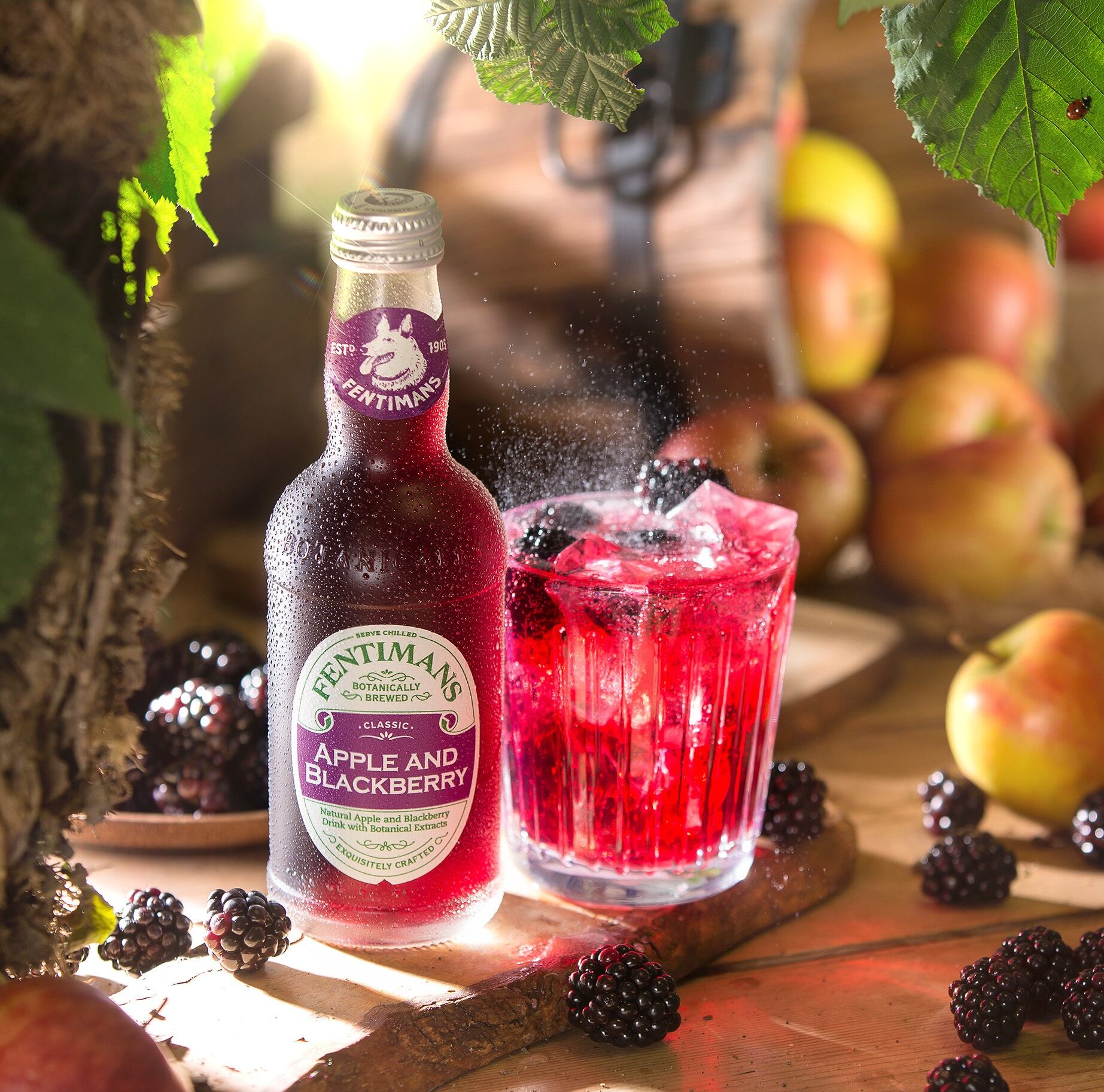 Fentimans fermented drinks