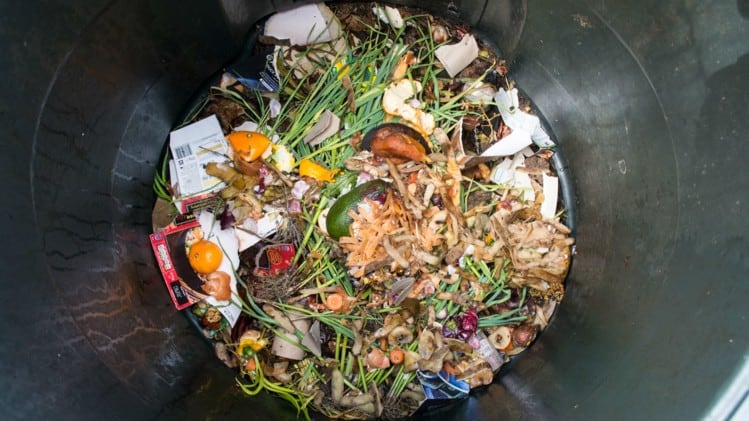 Is-technology-the-answer-to-solving-Asia-s-food-waste-crisis.jpg