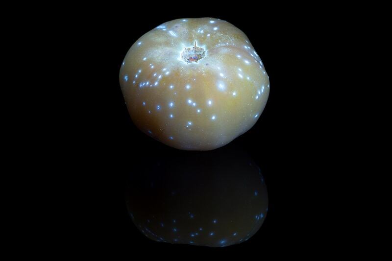Lycored-reveals-the-invisible-glow-found-in-golden-tomatoes.jpg