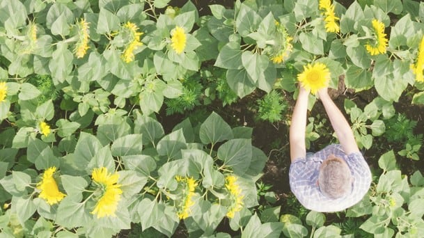 Accelerating organic and regenerative supply chains