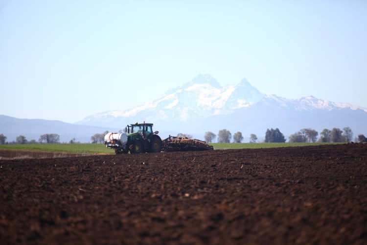 BENEO’s multi-million investment in chicory root fibre