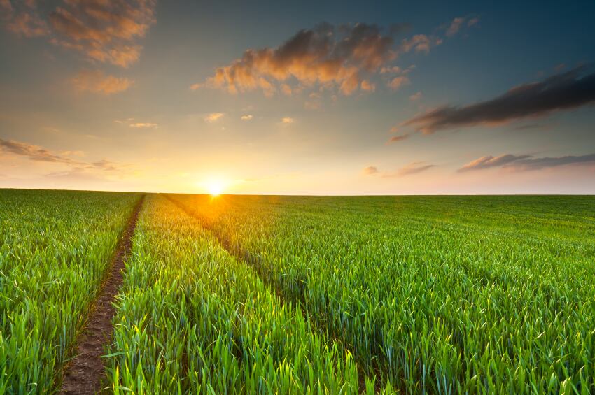 'Promise kept': Does France’s new Agriculture Bill live up to the hype?