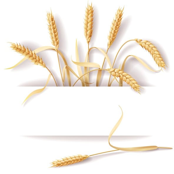 China Focus: Cereal rejections over food safety, China-US trade war opportunities, Walmart China and more feature in our round-up.