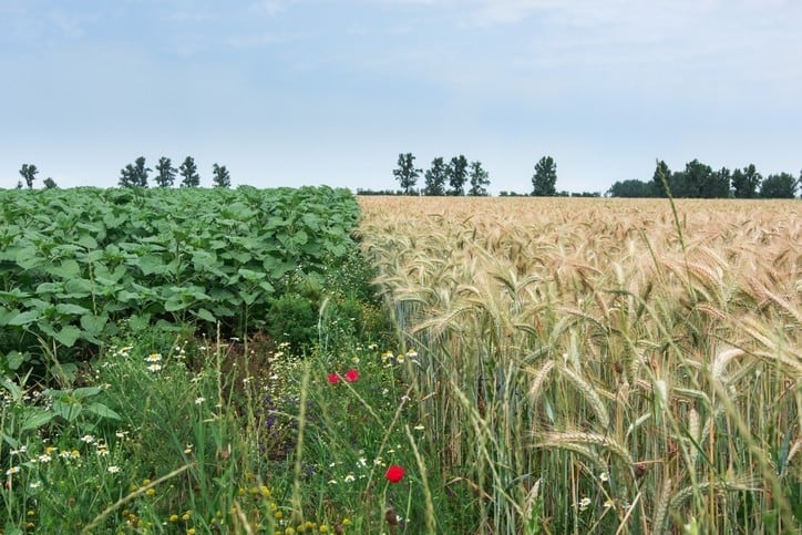 ‘Regenerative farming practices can help restore the earth’: PepsiCo discusses its Positive Agriculture Programme
