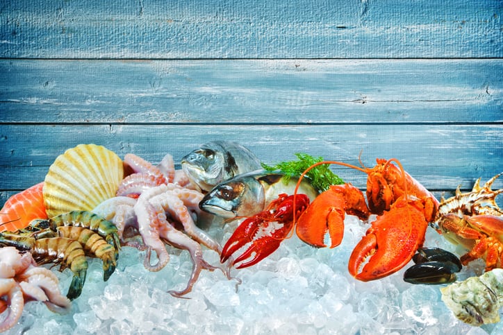 No catch: MCS launches Good Fish Guide for sustainable seafood choices