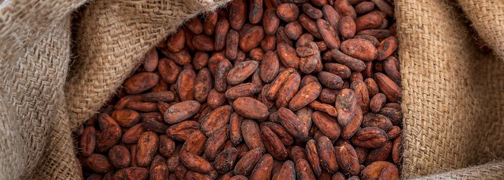 Celebrating-the-partners-at-the-heart-of-Ferrero-s-cocoa-sustainability-this-World-Chocolate-Week.png