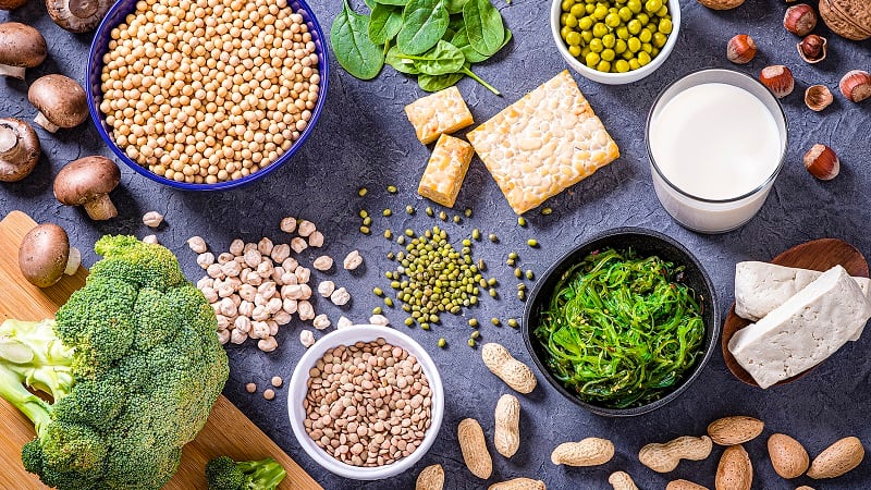 The-Future-of-Protein-Production-Chicago-takes-temperature-of-alt-protein-investments-regulations.jpg