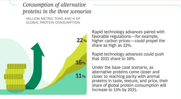 ‘Alternative’ proteins could account for 11% of global protein market by 2035, predicts report