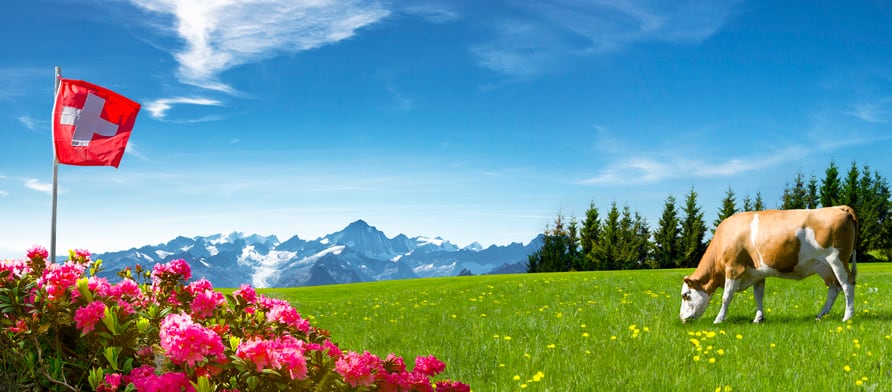 First application for cultivated meat approval in Europe submitted